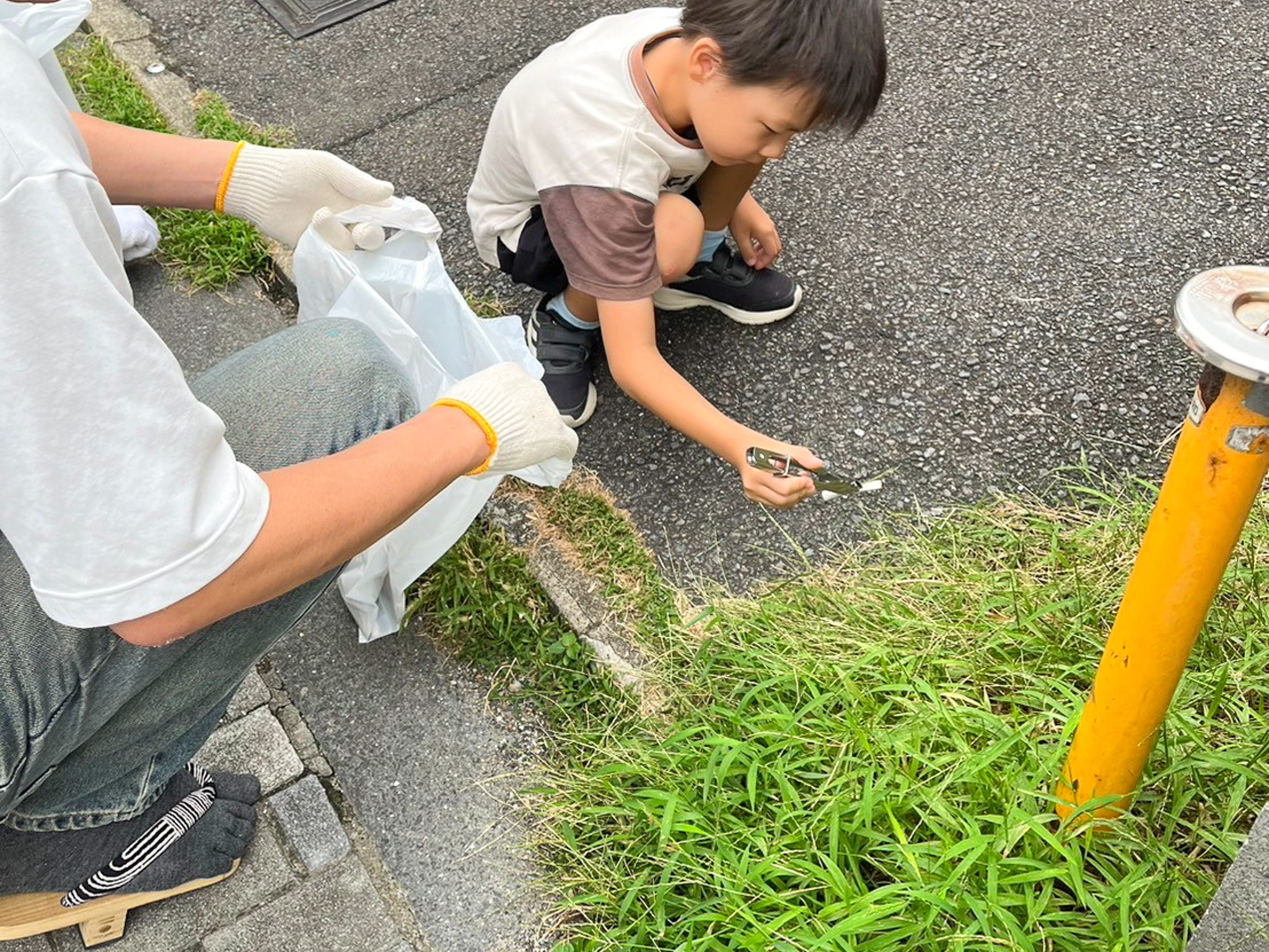 エコロジーウォーキング