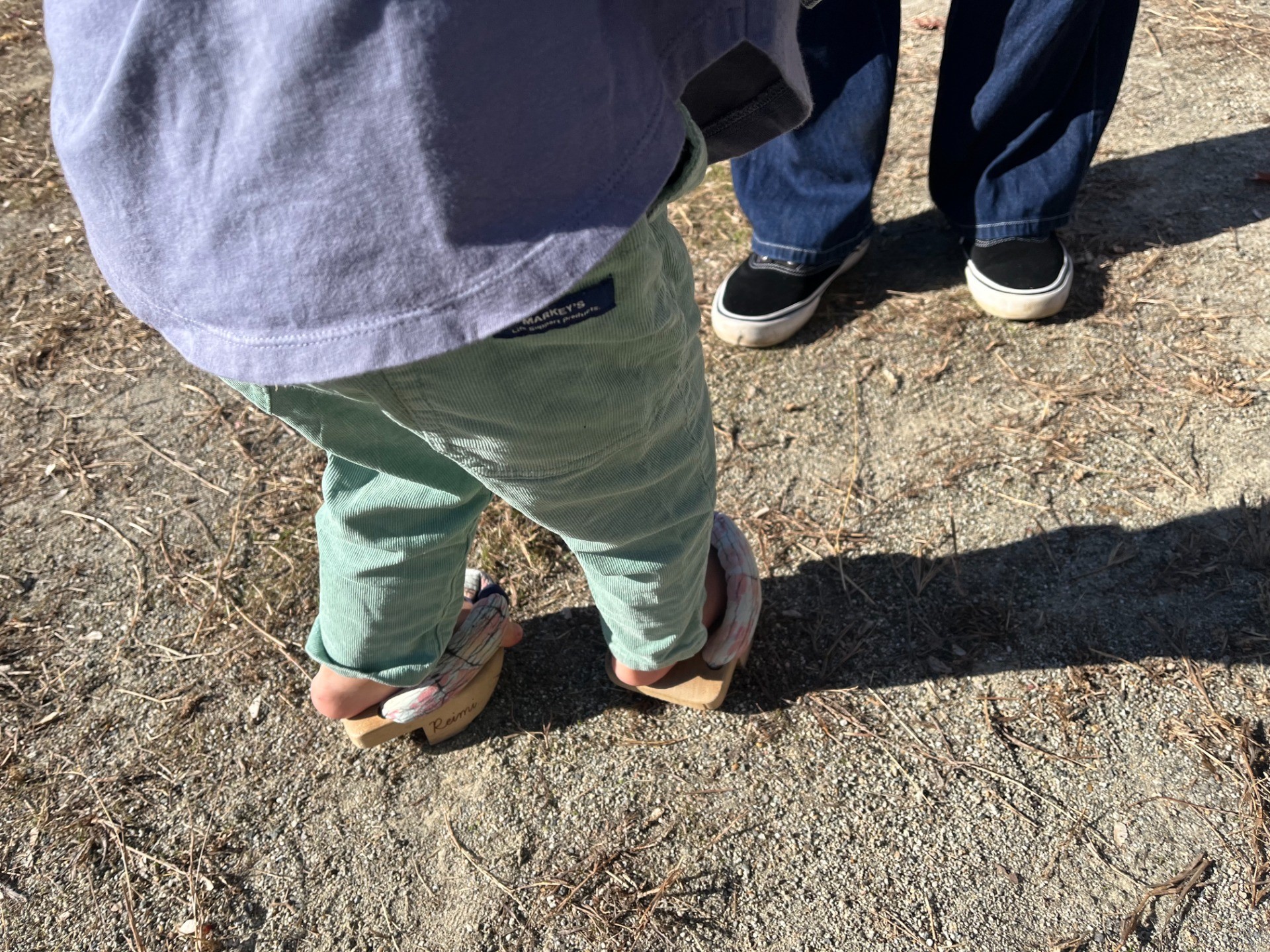 24f7f273ec41e1ee189054d76f46ffae-1764420084.jpg 24f7f273ec41e1ee189054d76f46ffae-1764420084.jpg